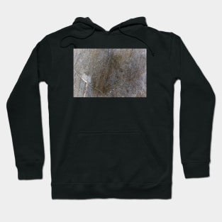 Braised Stone Texture Etched Hoodie